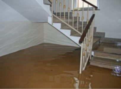 Emergency water removal by DrierHomes