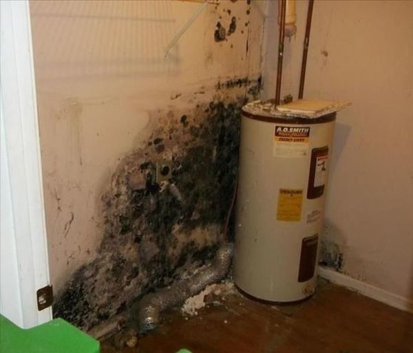 Water damage in Parma from appliance leak by DrierHomes